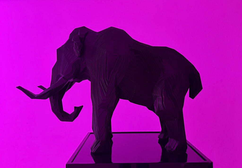 Notorious Elephant