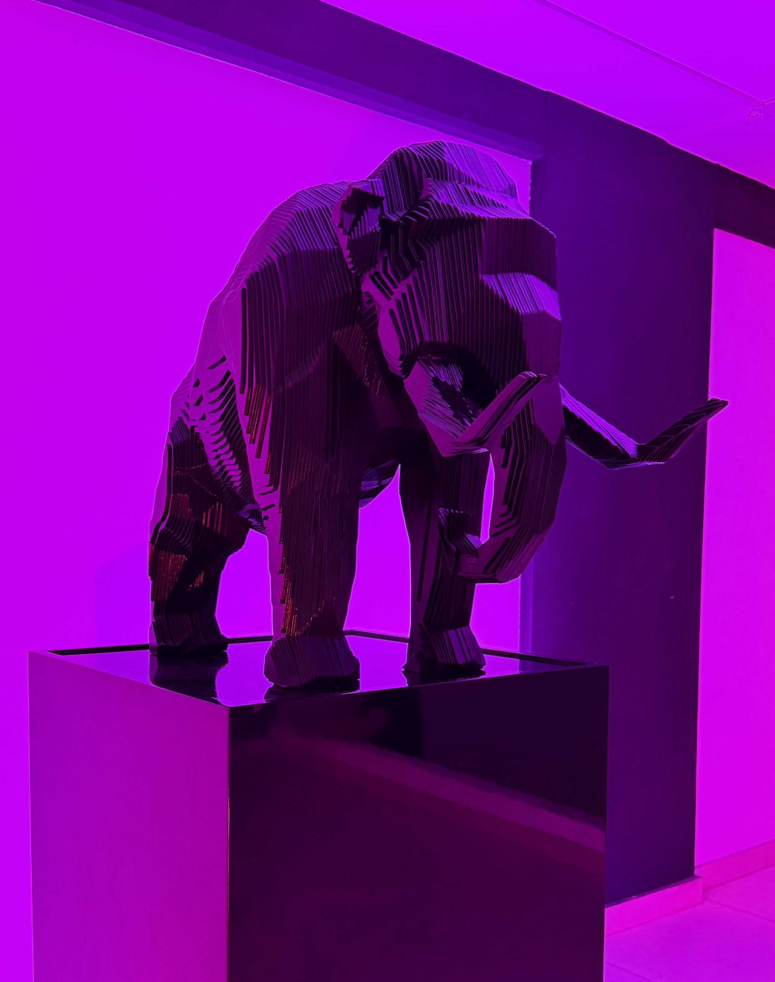 Notorious Elephant